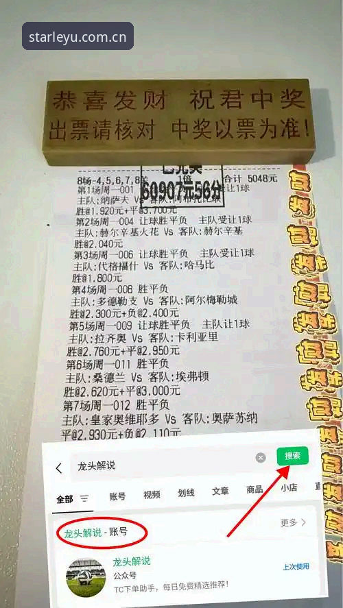 掌握都灵德比观赛体验的实用技巧——乐鱼体育平台带你深度解析